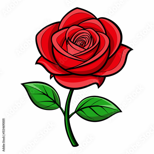 Red Rose on White Background