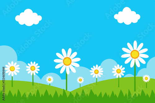 summer meadow with flowers