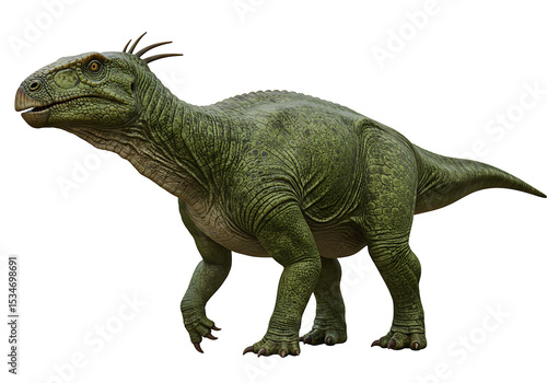 Fototapeta Naklejka Na Ścianę i Meble -  A green dinosaur stands out against a black background showcasing its scaly skin and distinctive head crest