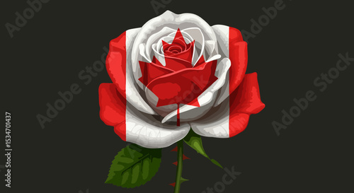 Single vivid red rose with white accents and green stem on black background