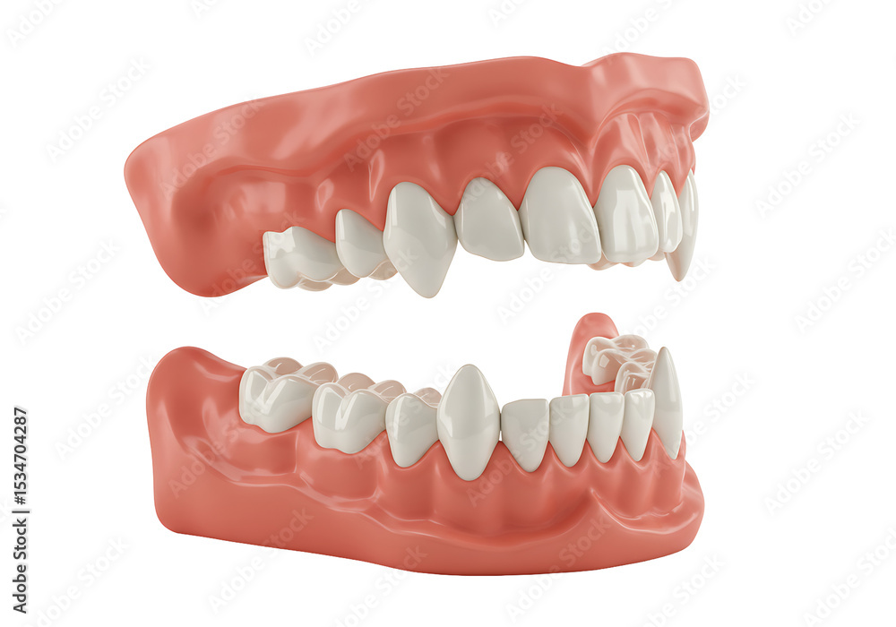 Obraz premium A set of dentures displayed against a solid black background