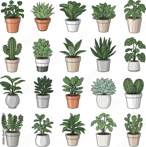 Digital Illustration of Potted Plants in a Grid Layout with Botanical Variety