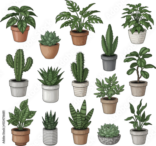 Digital Illustration of Potted Plants in a Grid Layout with Botanical Variety