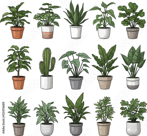 Digital Illustration of Potted Plants in a Grid Layout with Botanical Variety