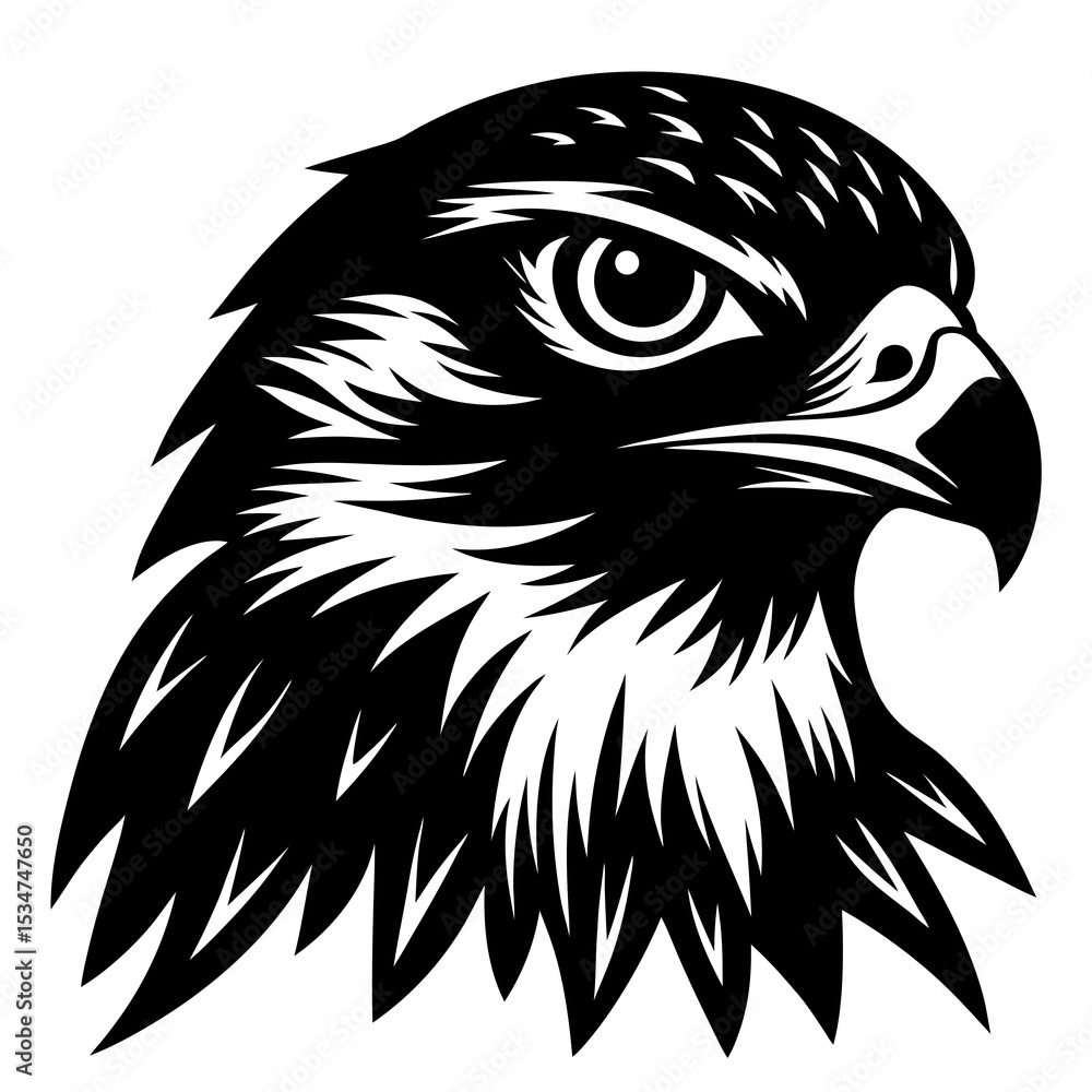 Obraz premium eagle head vector illustration