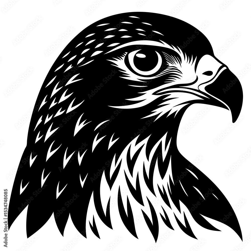 Obraz premium eagle vector illustration