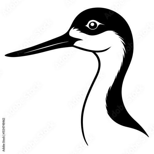 vector illustration of a pelican