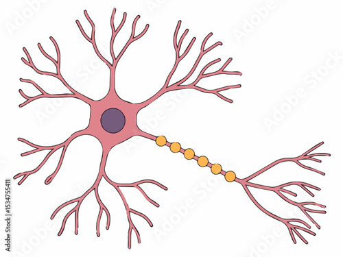 Detailed illustration of a neuron cell with dendrites and axon showing complex neural network structure brain system