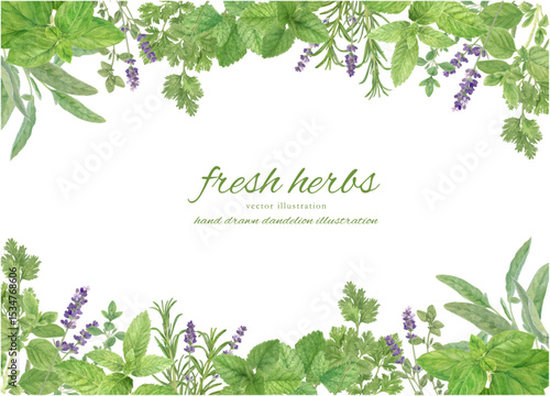 水彩で描いたハーブで飾ったフレーム背景素材