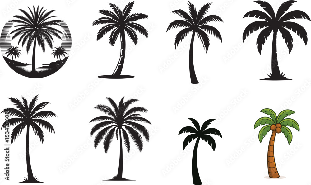 palm tree palm tree