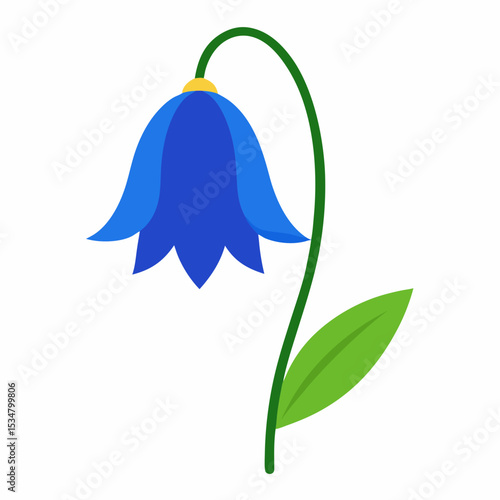 Bluebell flower on white background