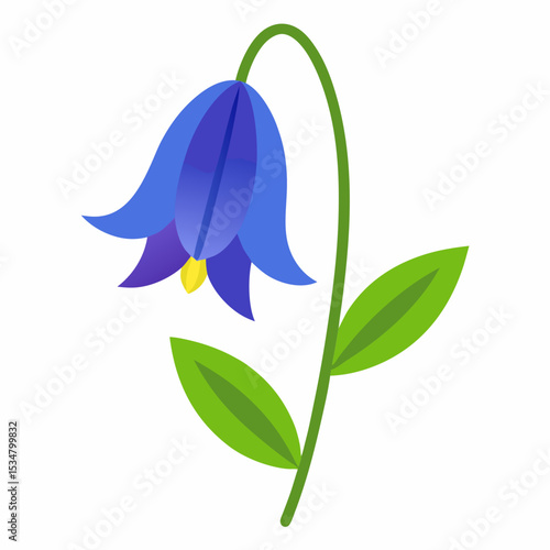 Bluebell flower on white background