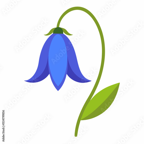 vector illustration of a bluebell flower