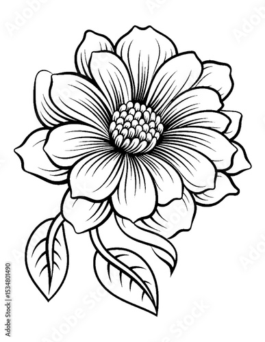 Black and white color pages