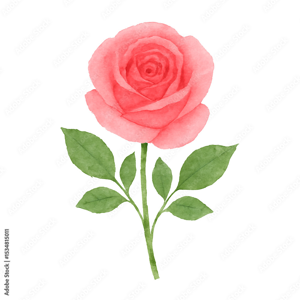 Naklejka premium Realistic White Rose with Green Leaves