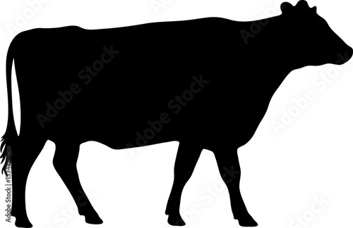 Farm Cow Silhouette