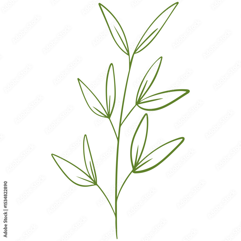 vector illustration of an abstract leaf vector illustration of an abstract leaf