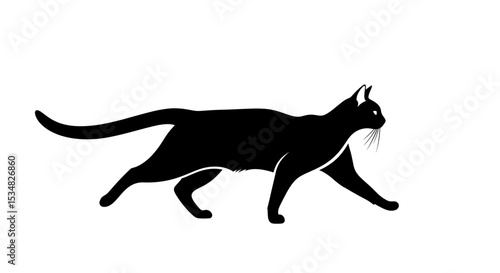 Silhouette of a Graceful Black Cat Walking Across a White Background