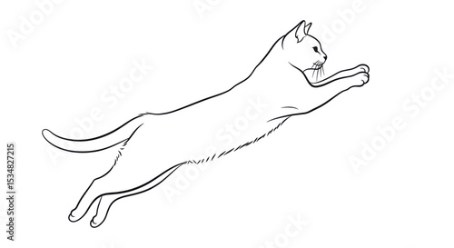 White Cat Leaping Gracefully in the Air Showcasing Agility and Playful Spirit