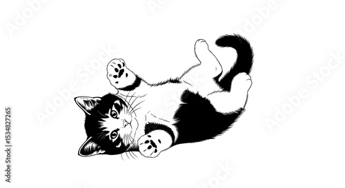 Playful Black And White Kitten Rolling On Its Back Showcasing Its Curious Nature
