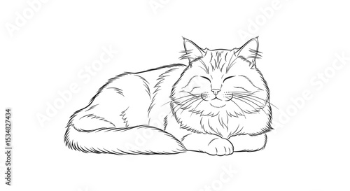 Outline of a Fluffy Cat Sleeping in a Relaxed Posture with a Content Expression