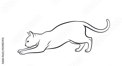 Outlined Drawing of a Cat Stretching Playfully with Agile Posture and Graceful Movement