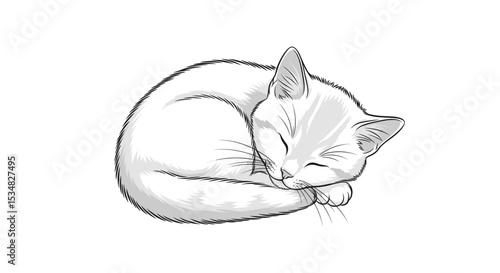 Serene White Cat Curled Up in a Cozy Sleeping Position Exuding Peace and Calmness