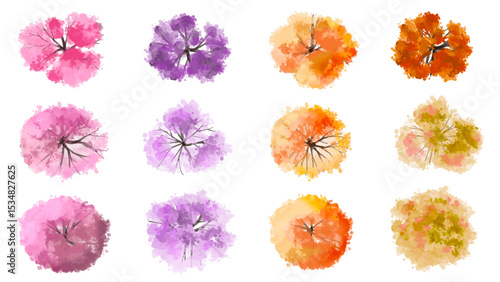 Vertor set of spring blossom tree,bloomimg plants top view for landscape plan,schematic layout,eco environment concept design,watercolor sakura illustration