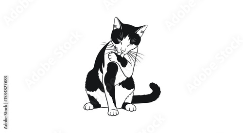 Black and White Cat Grooming Itself in a Relaxed Posture on a Simple Background