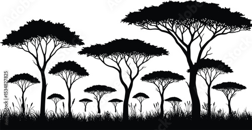African savanna tree silhouette vector, nature landscape, acacia tree forest, black and white scene, wild jungle bush