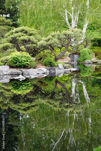 A Vivid Reflection in the Pond