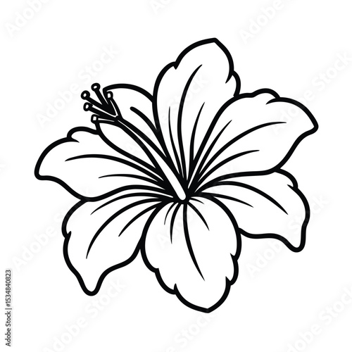 Tropical hibiscus flower blooming Line Art Vector illustration
