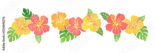 ハイビスカスの花