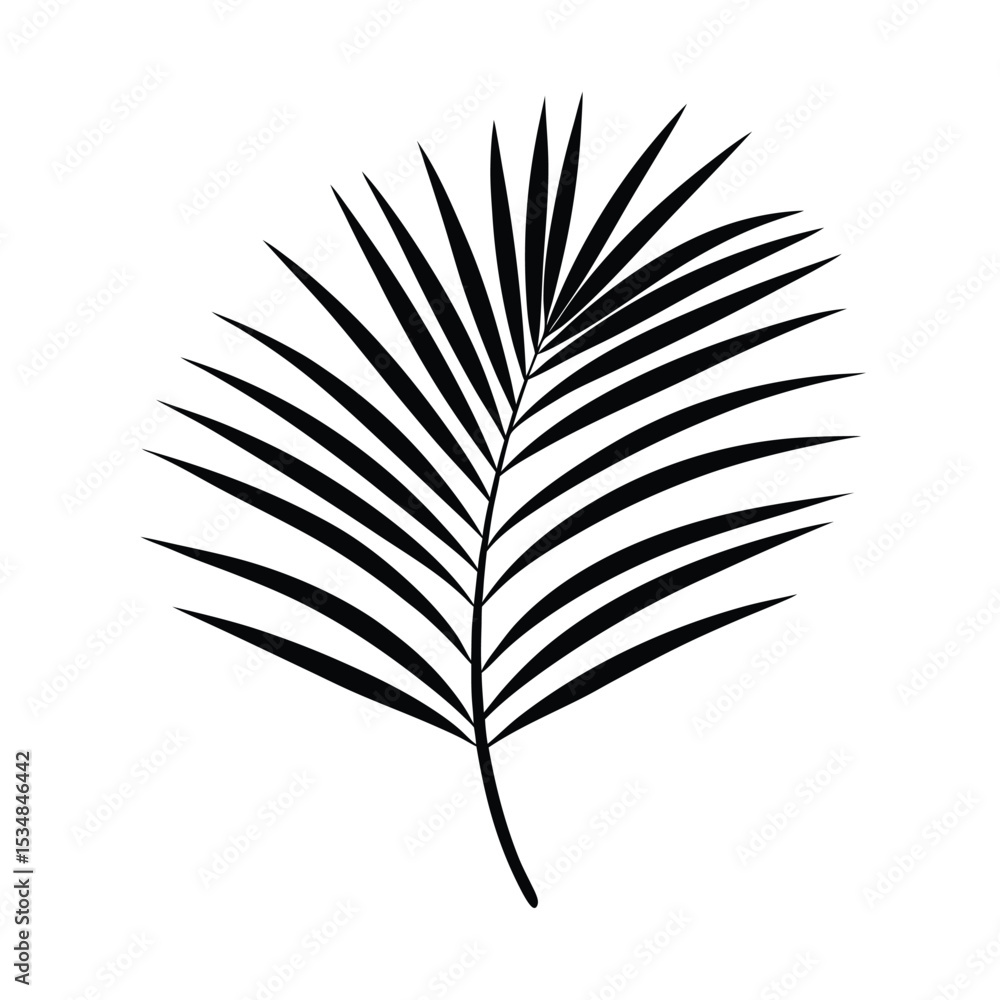 Obraz premium Palm leaf shadow casting elegant shape Line Art Vector illustration