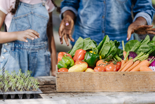 Fototapeta Naklejka Na Ścianę i Meble -  mother and daughter gardening with A basket of vegetables and fruits  in backyard organic farm garden.