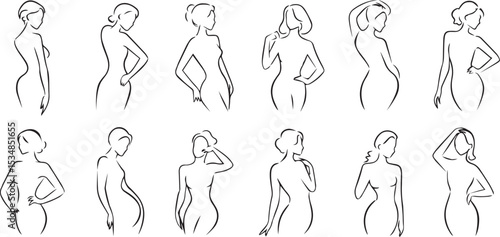 Elegant line art drawings of women's bodies eps-10