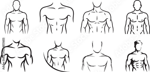 Male body sketches fitness anatomy illustrations. eps-10