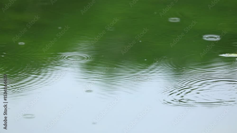 雨の日 雨の日