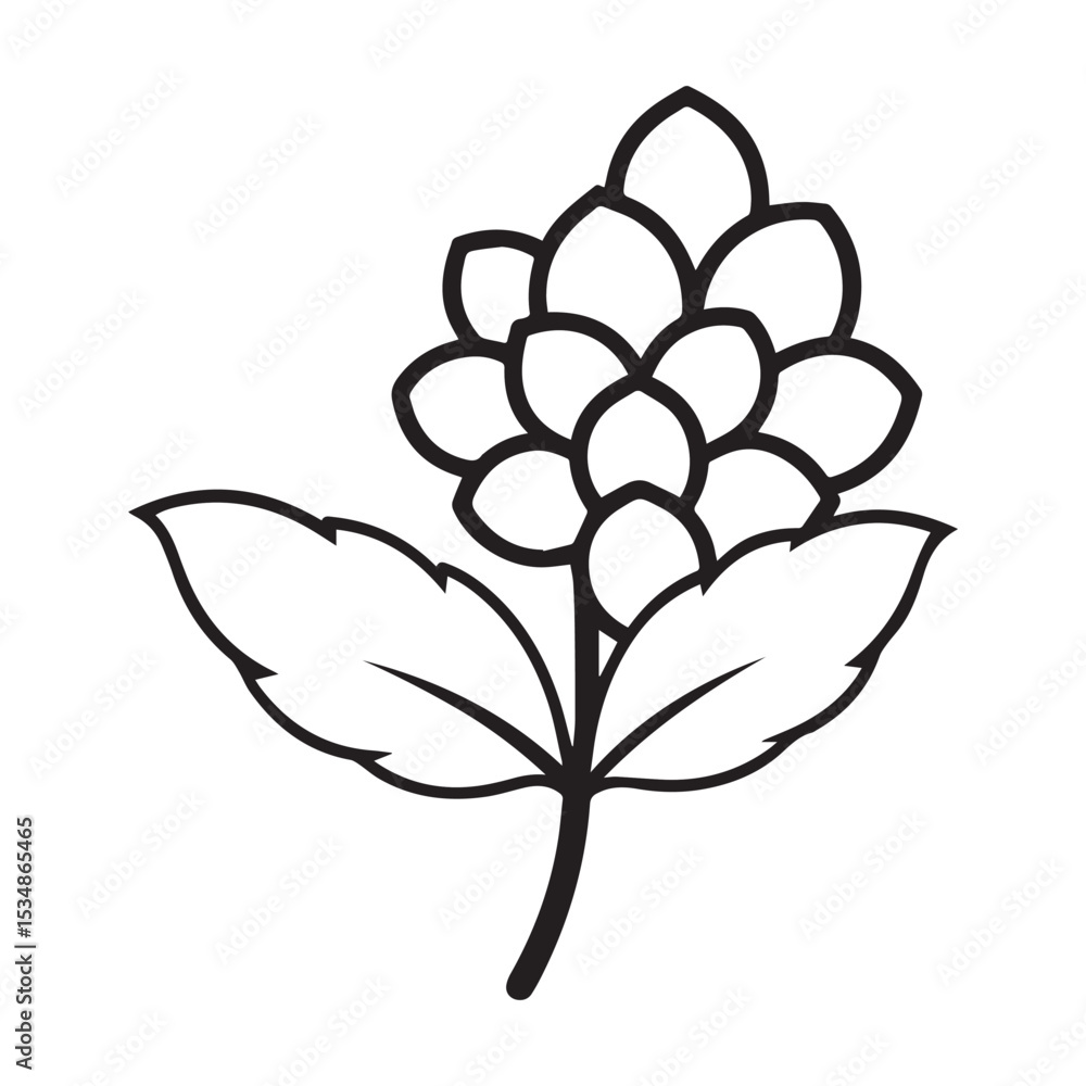 Obraz premium a litchi tree flower icon with small white crust