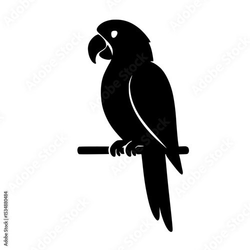 parrot vector on a branch ,black and yellow macaw ,black and yellow macaw ara