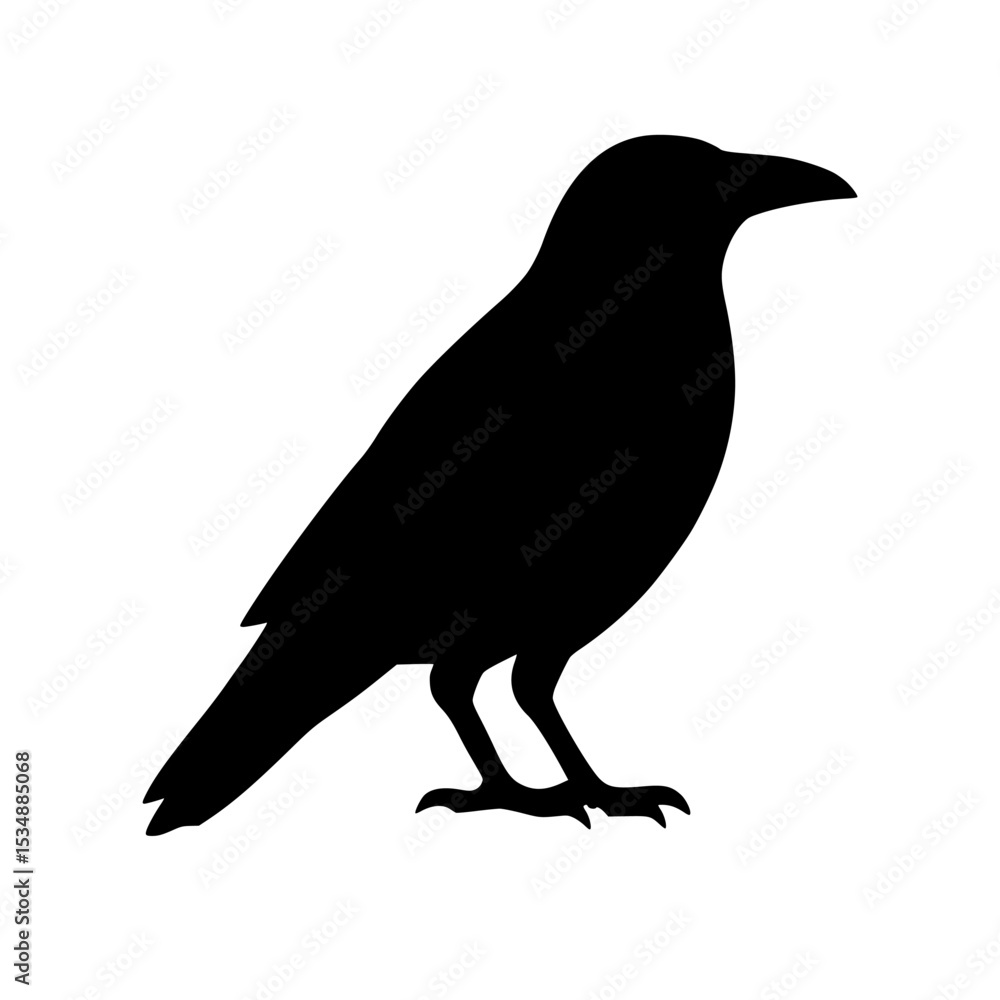 Obraz premium bird on a branch,crow on a white background,bird silhouette isolated on white