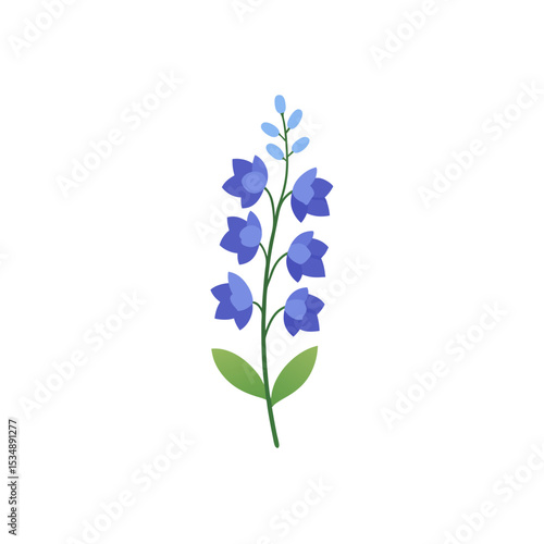 delphinium on white background  .svg