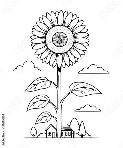Giant sunflower grown overnight