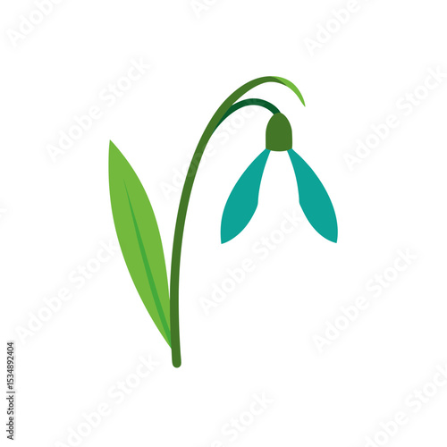 snowdrop on white background  .svg