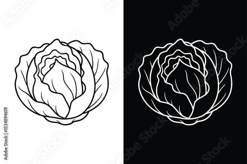 Cabbage Vegetable Line Art Drawing. Black Outline Vector for Coloring Pages