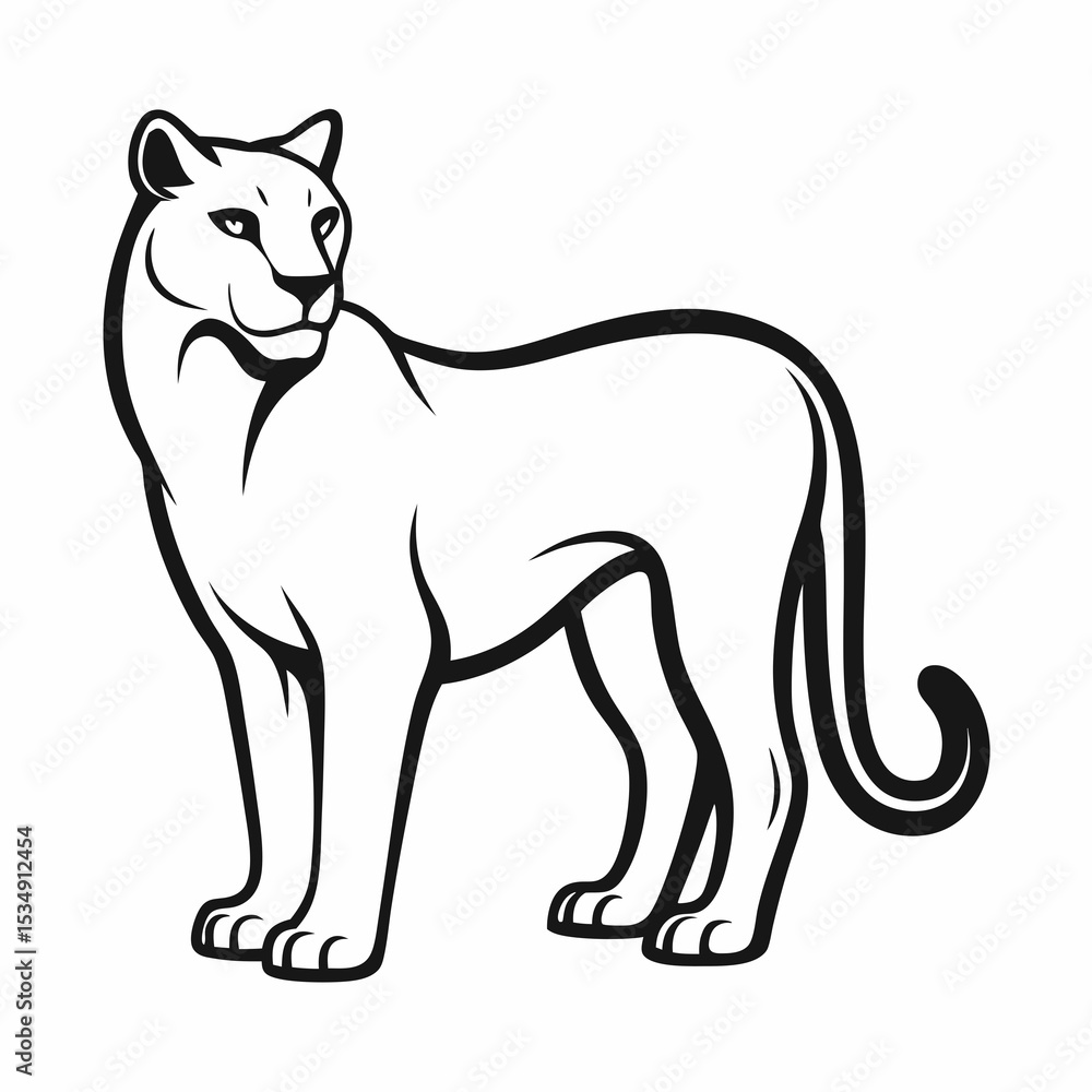 Obraz premium Cougar on white background 