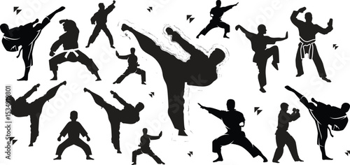 Martial Arts Silhouettes Featuring Karate, Judo, Taekwondo, Aikido, Self-Defense Techniques, Combat Stances, Black Belt Training, Traditional Gi, Powerful Moves