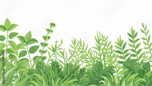 A watercolor illustration of various green plants and foliage against a white background creating a natural border