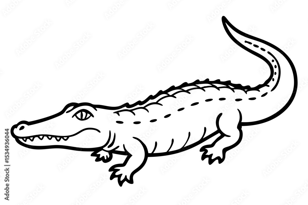 Fototapeta premium Crocodile Outline Illustration