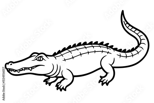Crocodile Outline Illustration